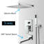 Beneduce Adjustable Shower Head