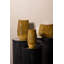 Alyessa Ceramic Pot Planter