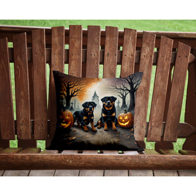  Polyester Throw Square Indoor/Outdoor Pillow Cover & Insert