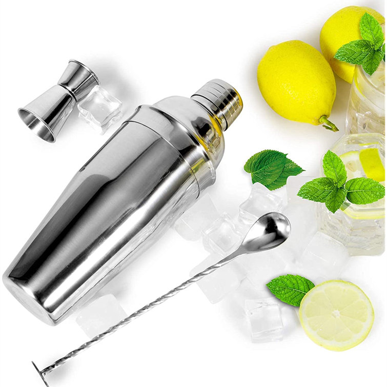 Cocktail Shaker Set 9 Pieces Stainless Steel Bartender Kit Drink Mixer  Professional Bartender Drink Making Tools for Martini Margarita Mixes 550Ml  18.6 oz Silver 