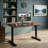 24"x48" Electric Height-Adjustable Standing Desk with Sit-Stand Function for Home Office, Dark Walnut Finish-144194873