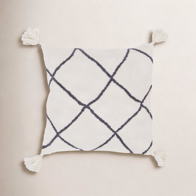 Saveria Tassels Throw Pillow, Down Fill, 20" x 20"