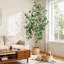 Ficus artificiel d'intérieur, grand ficus artificiel de 7 pi avec jardinière blanche et fausse mousse verte, plantes artificielles avec tronc en bois naturel et fruits réalistes pour la décoration de bureau personnel-453720653-453720648