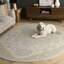 Barden Hand Tufted Oriental Area Rug-566580064
