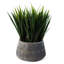 Cachepot