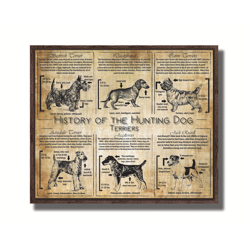 Histoire du terrier - collage de race, Canevas, H 20 po x l 24 po x P 2 po