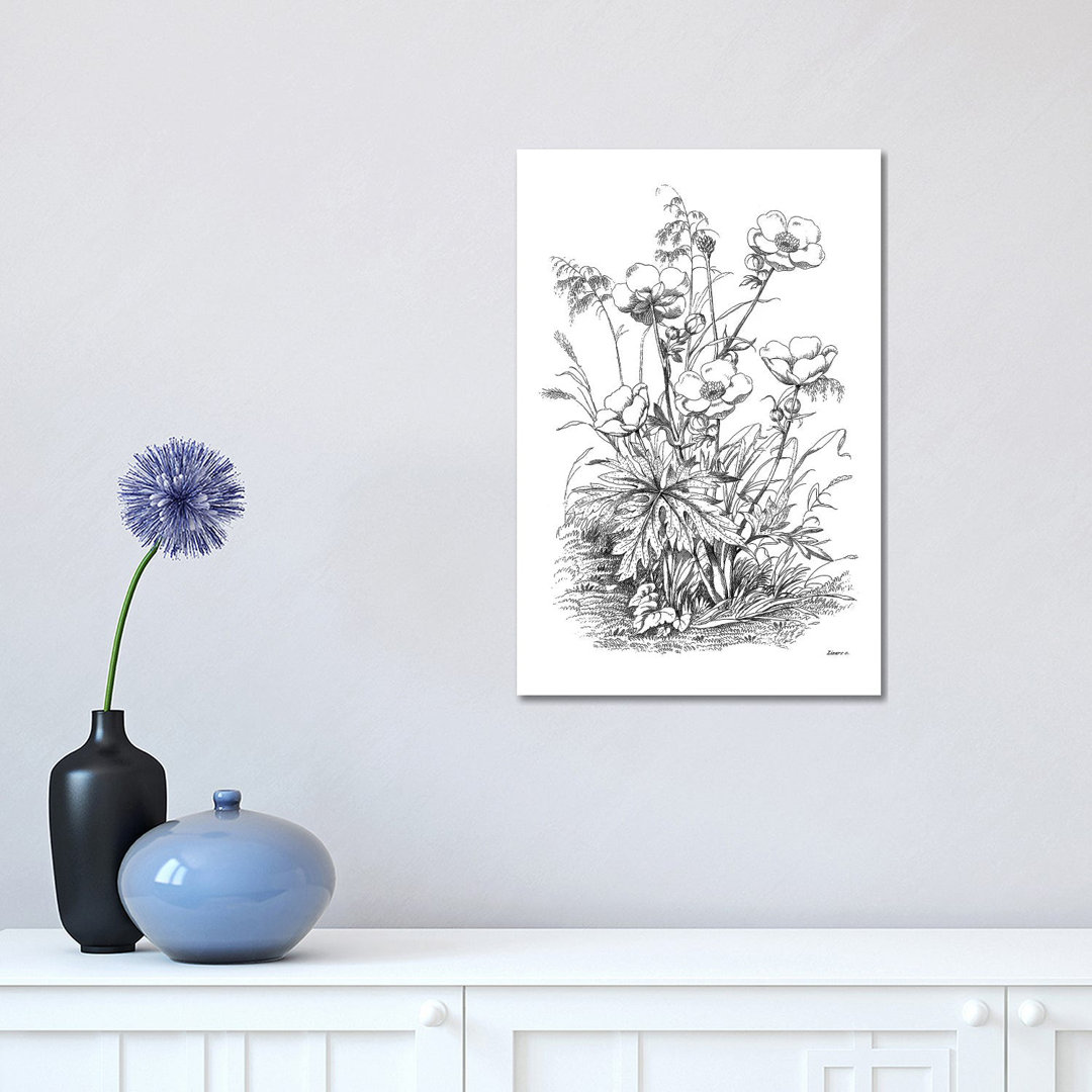 Botanical Black and White IV by Kelly Donovan - Wrapped Canvas Drawing
