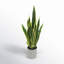 Artificial Sansevieria Snake Plant in Pot-1454465280