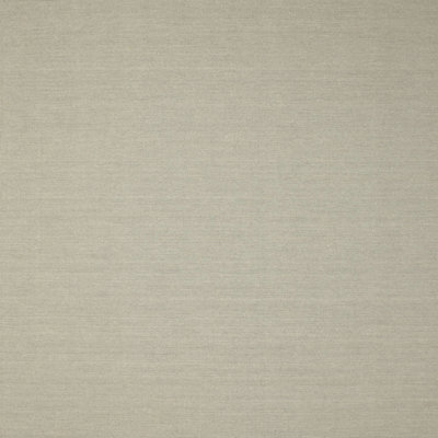 Indoor Rug