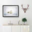 Resting Arctic Fox - Picture Frame Painting Print-56758842-56758843
