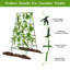 H 70,9 po x l 35,5 po avec structure en A et treillis de concombre pour plantes grimpantes