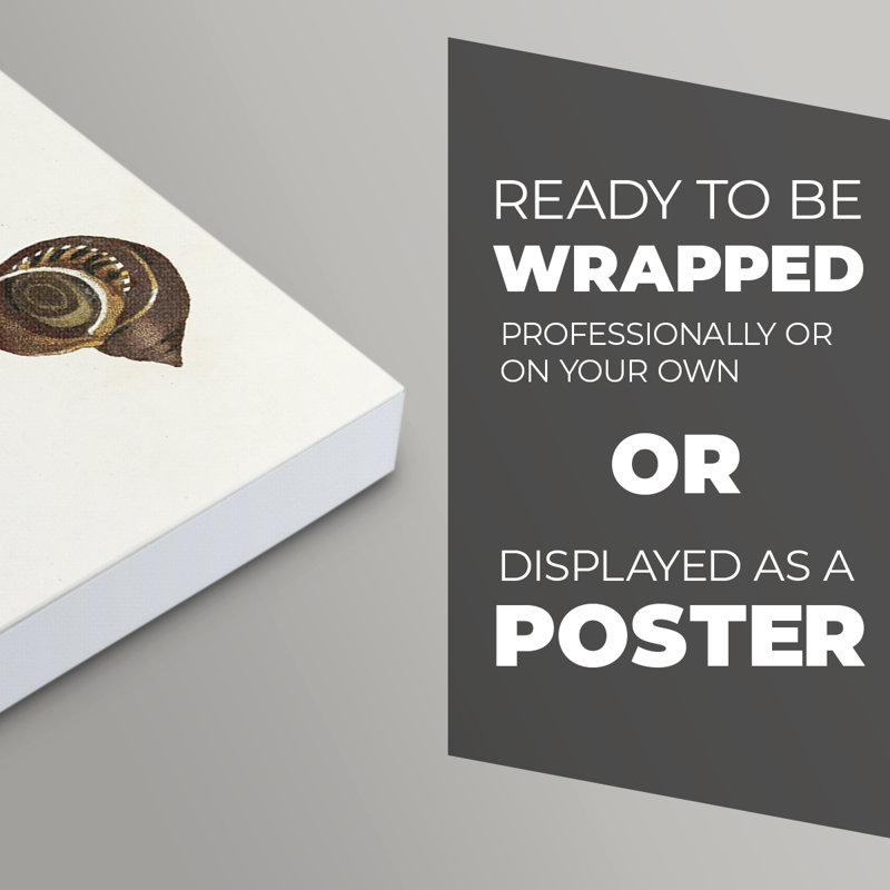 Spiral Shell Formation IV - Impression sur toile seulement - NON-CADRE, H 48 po x l 32 po
