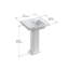 Tresham Fireclay Pedestal Bathroom Sink-2100164933-2125959292-2091903166