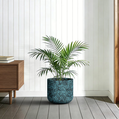 14 in. Medium Turquoise（Upgraded Interior） Concrete Round Cylindrical Planter / Pot with Drainage Holes