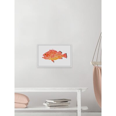 Yelloweye Rockfish' Framed Painting Print -  Marmont Hill, MH-MICPAN-10-NWFP-45