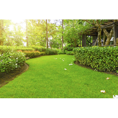 Green Green Grass - Wrapped Canvas Print