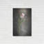 «Spring Tulips I» par Debra Van Swearingen-101670397