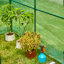 Serre de jardin 74,75 po H