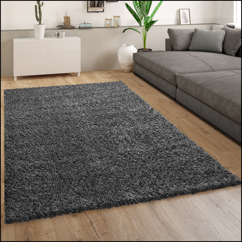 Gagnon Solid Colour Shag Area Rug, Rectangular 60 x 100cm