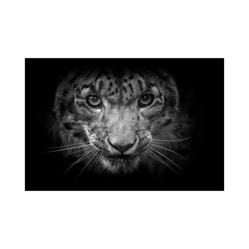 Snow Leopard In Black And White by David Whelan - Wrapped Canvas Gallery-Wrapped Canvas Giclée