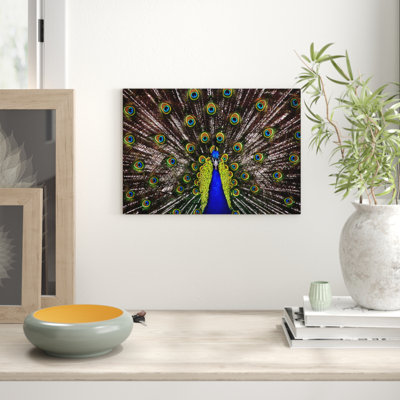 Peacock - Frameless Print