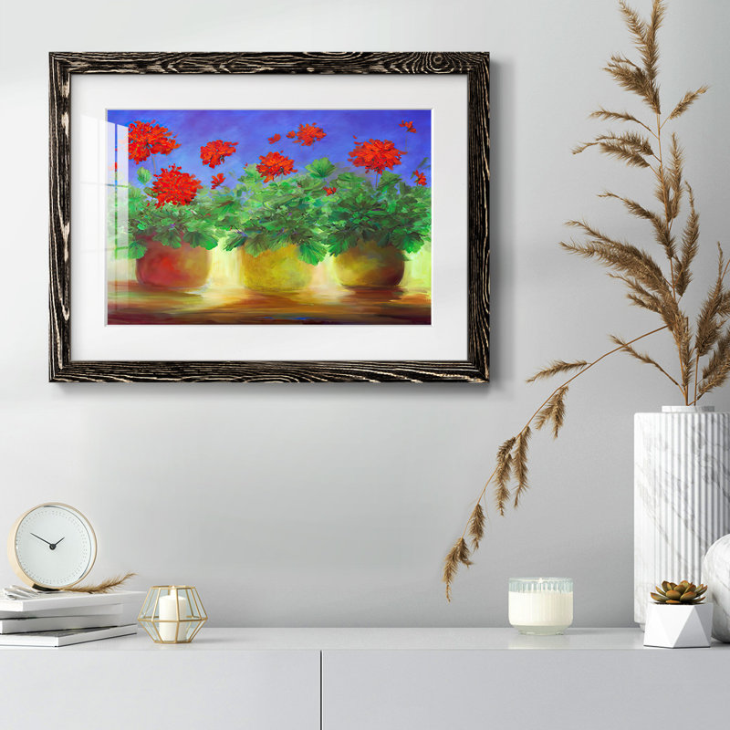 Geraniums II, reproduction d'art encadrée, H 26 po x l 38 po x P 1,5 po, Noir