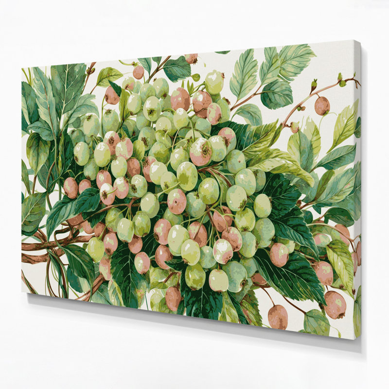 «Fruit Gooseberry Green», art mural sur toile, H 11 po x l 14 po