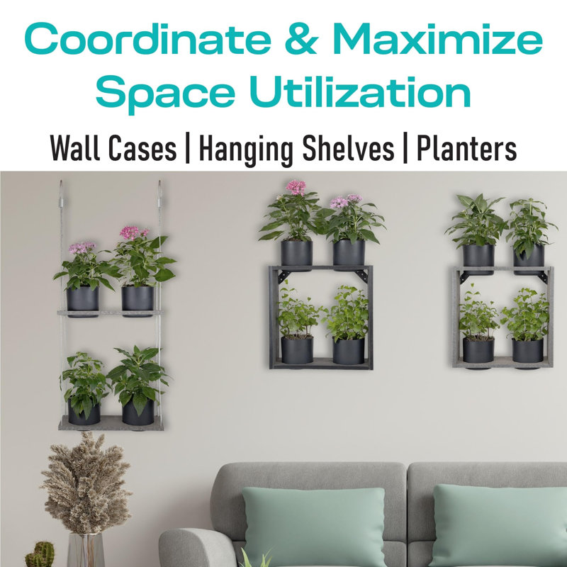 Latitude Run® Urban Garden Decor with Pots Included, Hanging Planters for Indoor Outdoor Plants, Hanging Flowerpots, Wall Hanging Plant Holder Window Plant Shelves (Combo)