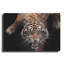 Luxe Metal Art «Nice Kitty» par Epic Portfolio Meta «Nice Kitty» par Luxe Metal Portfolio-101629917