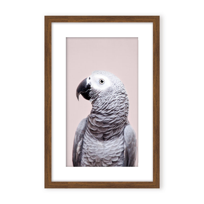 Nature Inspired African Gray by  - Picture Frame Photograph on Paper, 48" H x 32" W x 2.375" D, Framed Canvas, Beige