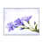 Cadre flottant blanc