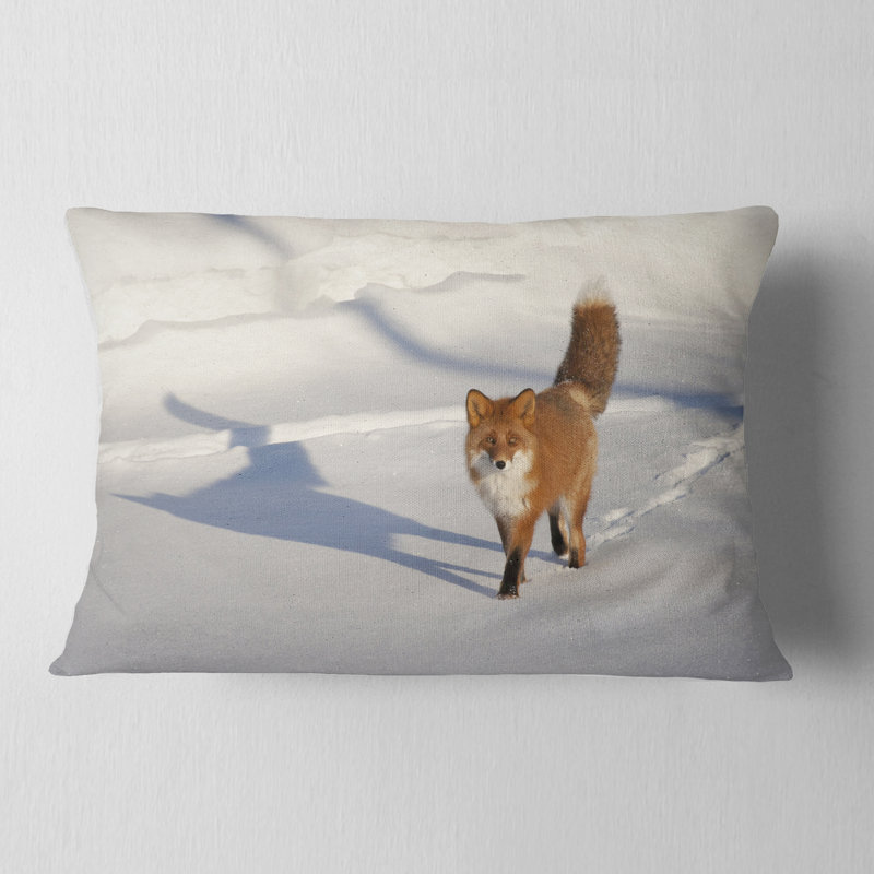 Chat brun avec empreintes de pas - Coussin décoratif à imprimé animal