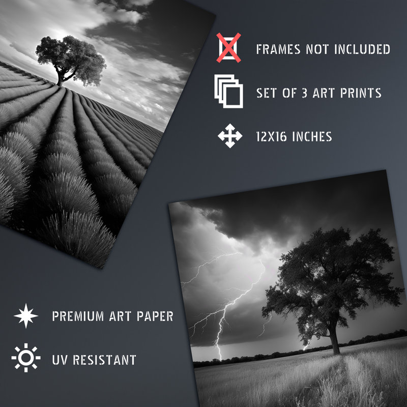 Lone Tree And Storm Clouds Black White Coastal Landscape - 3 Piece No Frame Print Set, 40.5cm H x 30.5cm W x 0.3cm D