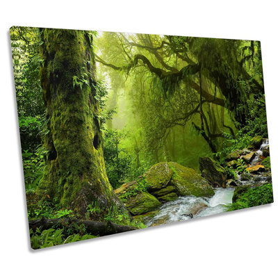 Z2546 Rain Forest Landscape River - Wrapped Canvas Print