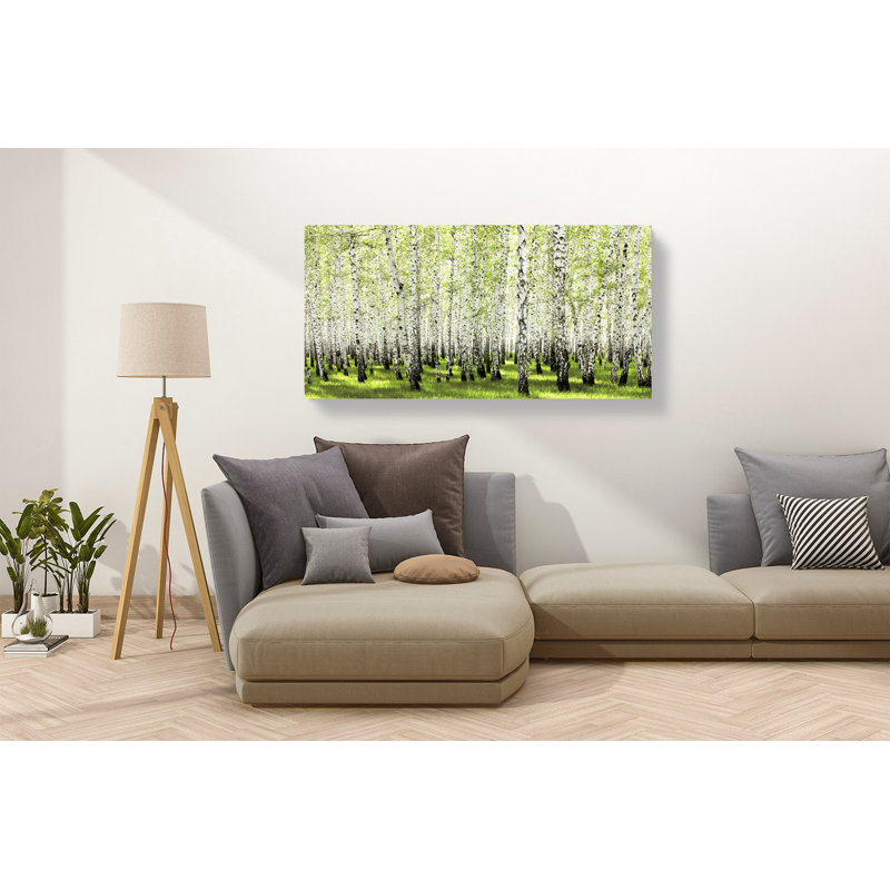 Birch Forest In Spring - Wrapped Canvas Print, 60cm H x 120cm W x 4cm D