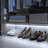 16.4ft Motion Activated LED Strip Light Bed Light with Timer 6000K-132784808