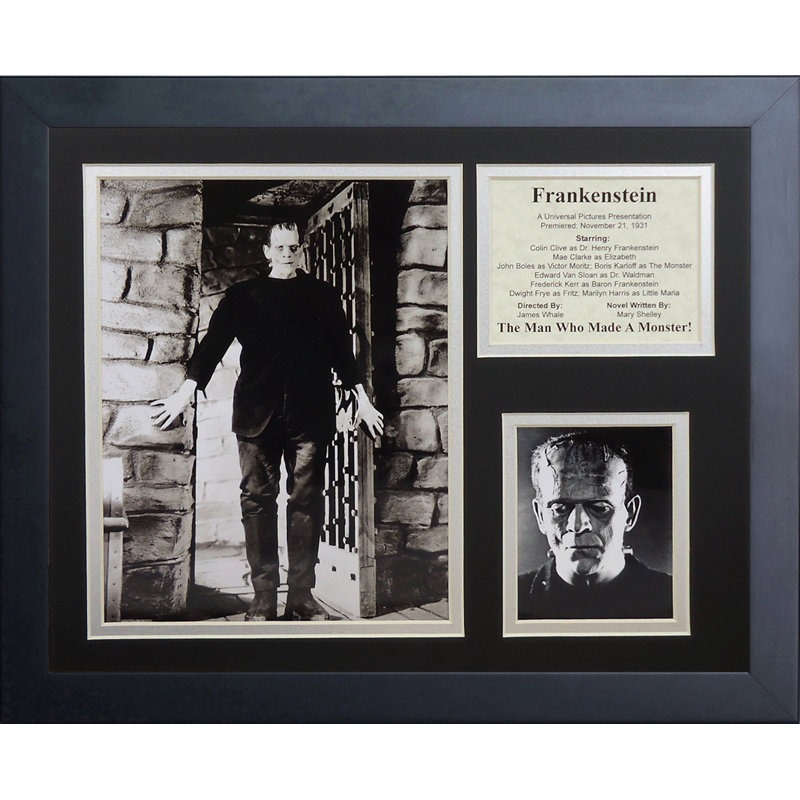 Souvenirs encadrée frankenstein