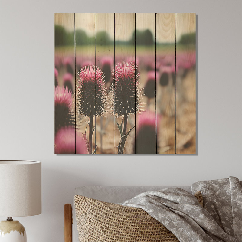 Champ de fleurs de chardon rose - chardon sur bois, H 36 po x l 36 po
