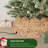 Rattan Tree Collar-137655575