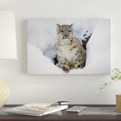 «Snow Leopard in Snow, Native to Asia» par Timg Fitzharris - reproduction de photo sur toile tendue