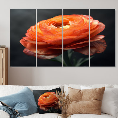 Orange And Black Ranunculus Bloom II - Ranunculus Wall Art Print Set