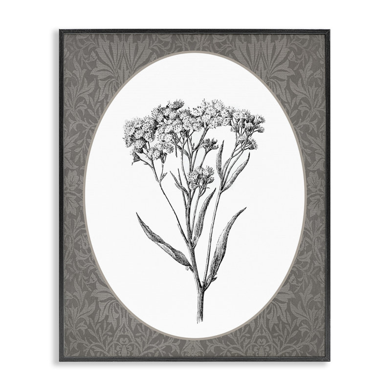 Illustration de giclée encadrée par Baby Vintage Breath, Giclée encadrée noir minuit, H 14 po x l 11 po