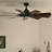 Gentry 60'' Ceiling Fan with LED Lights-82941955