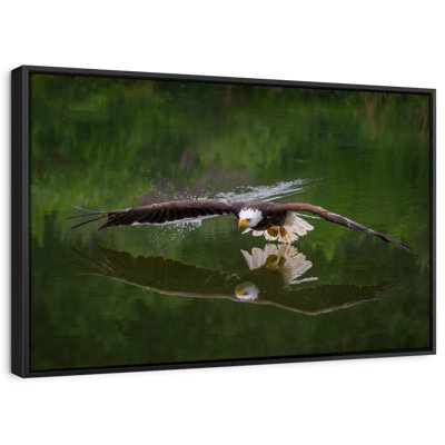 «Bald Eagle Reflection Wall Art»