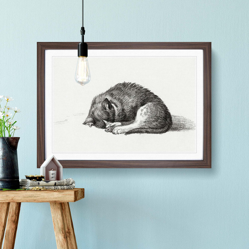 Curled Cat by Jean Bernard - Framed Print, 36cm H x 48cm W x 2cm D, Walnut Framed