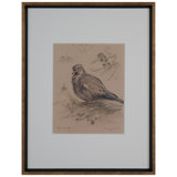 Dove Rest III Print by Daughdrill