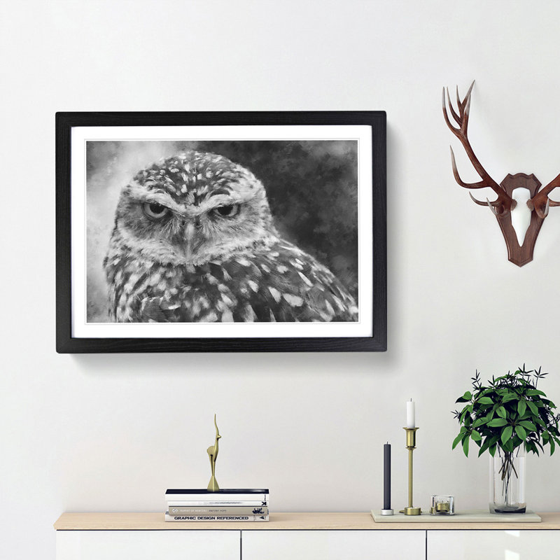 Little Owl - Picture Frame Graphic Art Print, 24cm H x 33cm W x 2cm D, Black Framed