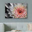«Blooming Flower Close Up Southwest» sur-99543169