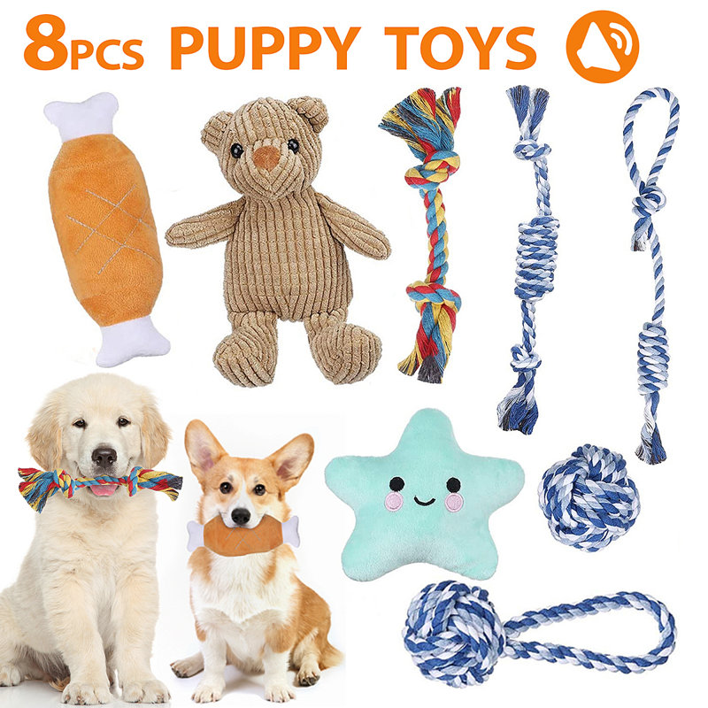 Ensemble de 8 jouets pour chien qui ne peluche pas pour chien