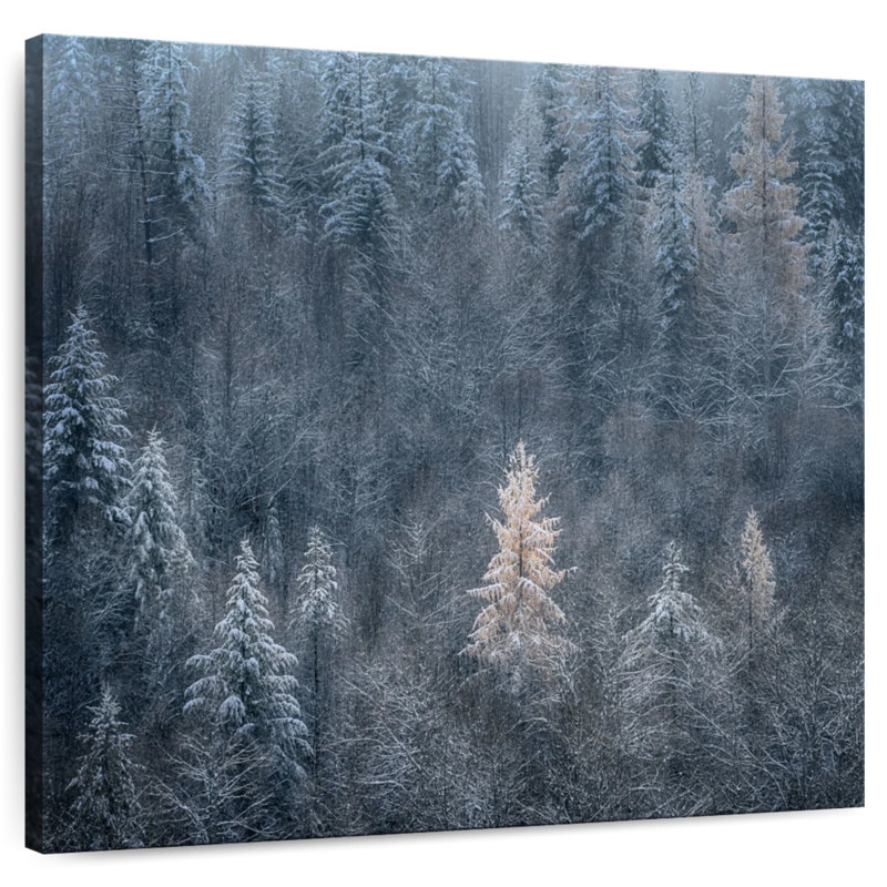 Alvord First Snow I